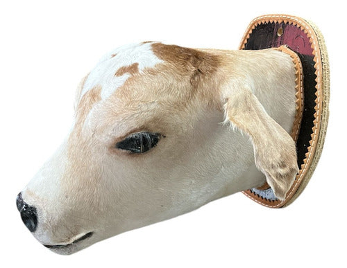 Decoração De Parede Country Cabeça De Bezerro Empalhada